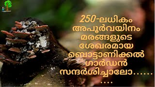 250-ലധികം അപൂർവയിനം മരങ്ങളുടെ ശേഖരമായ ബൊട്ടാണിക്കൽ ഗാർഡൻ സന്ദർശിച്ചാലോ.........#botanicalgarden