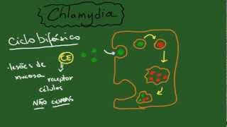 Chlamydia e Clamydophila - Resumo - Microbiologia