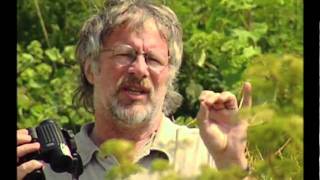 Birding with Bill Oddie