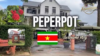 SR Plantage Peperpot | Oudste plantage van Suriname