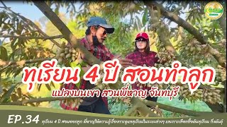 ทุเรียน 4 ปี สอนทำลูก แปลงบนเขาสวนพี่หาญ จันทบุรี [EP.34]