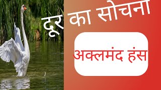 अक्लमंद हंस दूर की सोच🤔 ..#book stories explain