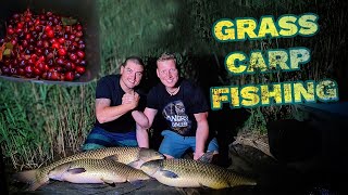 CHYTÁNÍ AMURŮ / GRASS CARP FISHING