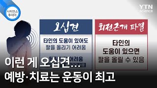 이런 게 오십견...예방·치료는 운동이 최고 / YTN 사이언스