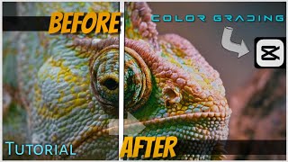 CapCut Colour Grading 💥||PART-2✨|| Thunder Studios|| Tutorial...