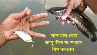 বড়শি দিয়ে শোল মাছ ধরার কৌশল। Shoal Fishing Techniques with Barashi @BappaFishing #Bappa