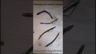 Montajes con lombrices finesse para la pesca del Bass