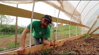 Chicken Damage in the Greenhouse