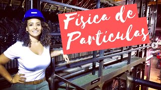 A FÍSICA DOS NEUTRINOS E FINAL DE DOUTORADO ft. Dr. Mônica Nunes • #CD19 • Física e Afins