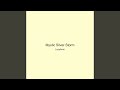 Mystic Silver Storm