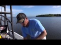 white bait and how to hook it. mustad how to