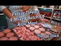 Freeze Drying A Mixed Batch Of Raw Meat | Pantry Stock