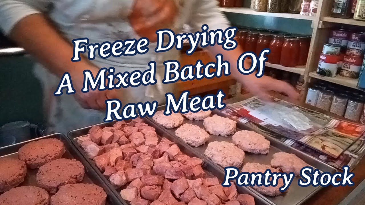 Freeze Drying A Mixed Batch Of Raw Meat | Pantry Stock - YouTube