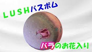 ラッシュのバスボムでお風呂で大はしゃぎ！【うさきっず　ＬＵＳＨ　バスボム　】