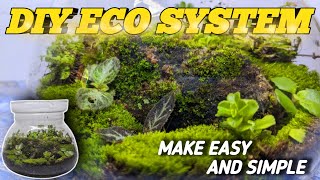 I built a ecosystem in the bowl | how to make diy ecosystem 💚🌿