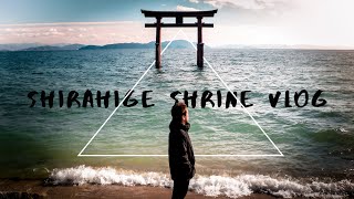 白髭神社のCinematic Vlogでドローン最高すぎた📸【滋賀県】