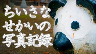 【写真作品】フォトストーリー『せきにんのないさんぽ』（撮影地･愛知県岡崎市）