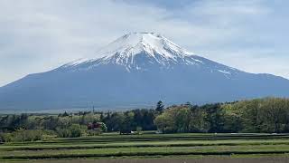 山中湖花の都公園・・・からの富士山