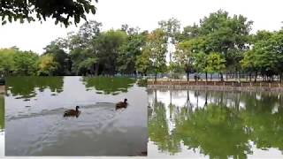 石狩市紅葉山公園　夏