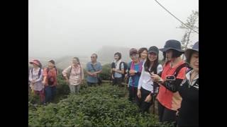 20160629大崙頂 順走羊灣三姝 樟空崙山 貓冬望山 大崙山