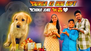 Durga Ki Dog Gift Ichina Anil  || Mana VIP Boys