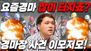 인기마 몰락! 왜 이렇게 빠져!?? 윤택의 동틀때 뉴스📺!