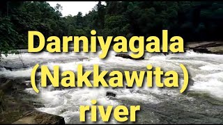 Daraniyagala (Nakkawita river ) දැරණියගල  (නක්කාවිට) ගංග