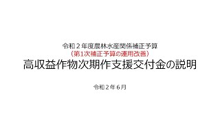 【令和２年度農林水産関係補正予算】高収益作物次期作支援交付金の説明（運用改善について）