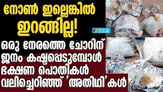 ഭക്ഷണ പൊതികള്‍ വലിച്ചെറിഞ്ഞ് ഇതരസംസ്ഥാന തൊഴിലാളികള്‍