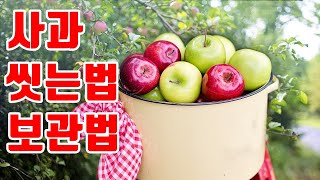 잔류농약묻은 사과 깨끗이 씻고 보관하는 방법(feat.못난이사과) | How to Wash and Store apples