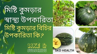 মিষ্টি কুমড়া খাওয়ার উপকারিতা। মিষ্টি কুমড়ার বিচির উপকারিতা কি।। SKD HEALTH.