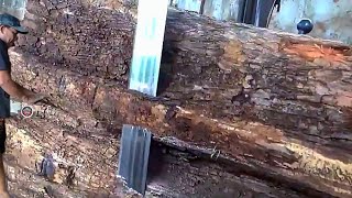 Unexpected Great Danger || Sawing the Largest Teak Wood