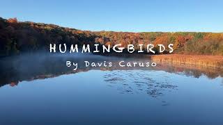 Davis Caruso - Hummingbirds (Official Audio)