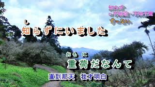 柳川しぐれ***字義版