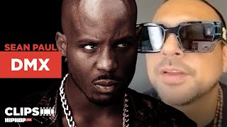 Sean Paul Explains How DMX Put Him In Belly Movie