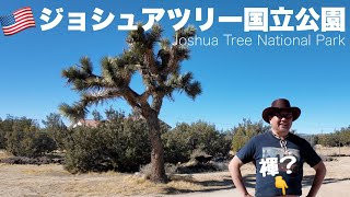 First appearance [Fundoshi Cowboy?!] 🇺🇸 Walking around Joshua Tree National Park