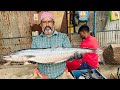 8kg vanjiram fish 🔥🔪kasimedu fish cutting