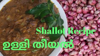 നല്ല രുചികരമായ ഉള്ളി തീയൽ  ഉണ്ടാക്കാം || Shallot Recipe || Malayalam vlogs|| @Geo's family vlogs