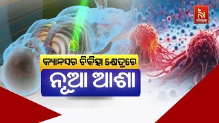 🔴 Live | କ୍ୟାନସର ଚିକିତ୍ସା କ୍ଷେତ୍ରରେ ନୂଆ ଆଶା | Nandighosha TV | Odisha