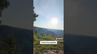 I love my woods