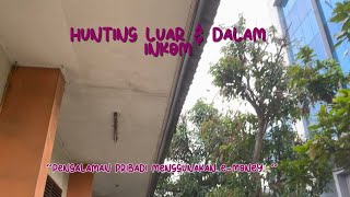 HUNTING LUAR DAN DALAM INKOM UNJANI (KELOMPOK 4 GUGLIELMO MARCONI)