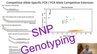 SNP genotyping Plants: Competitive Allele-Specific PCR Genotyping