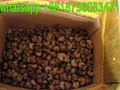 video of cashew nut grading machine walnut grading machine