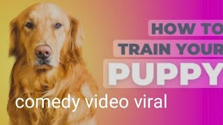 dog comedy video short editing video 🤣🤣