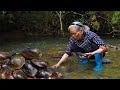 經常被人嫌棄的河蚌，有人丟它餵養雞鴨有人找它上山下水Granny takes puppy to catch mussels and make traditional Chinese food｜玉林阿婆