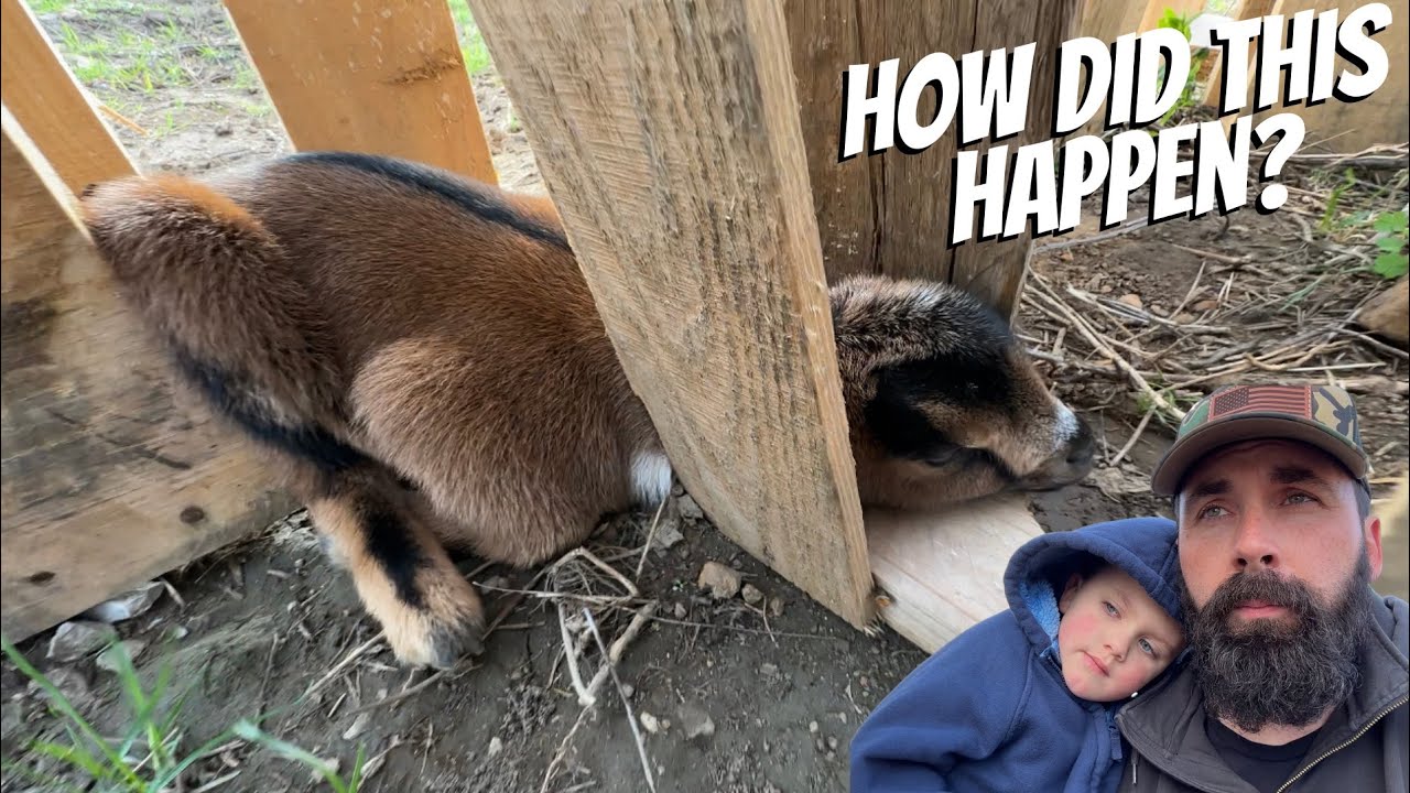 Tough Day On The Farm Youtube