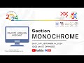 YPS International Salon 2024 - Monochrome Section Remote Judging Webcast