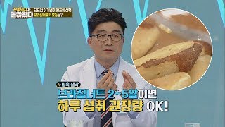 '브라질너트' 적정 섭취량? 하루에 2~5알이 적당-★ 진짜 의사가 돌아왔다 31회