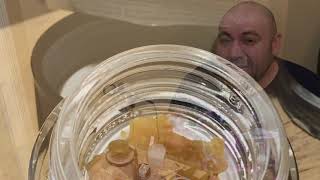 Crescendo Crumble from Trulieve Review FLmmj