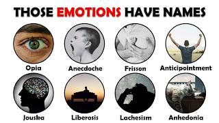 Every Emotion You Can't Name Explained